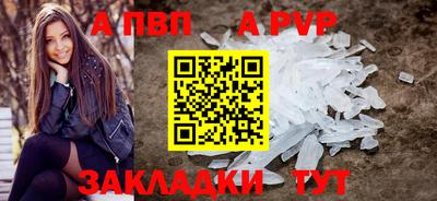 твердый Кингисепп
