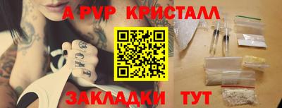 твердый Кингисепп