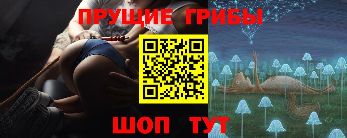 Галлюциногенные грибы Psilocybe Тобольск
